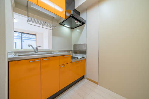 ジュネス幸Ⅱ 0205号-8