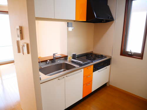 パラシオン日永西 A203号-4