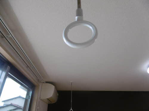 フェリックス－Ｓ 0103号-6