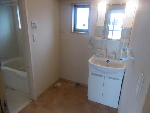 フェリックス－Ｓ 0103号-12