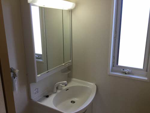 デュアルブラウン B102号-11