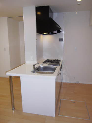 サンルシックⅠ 1101号-4