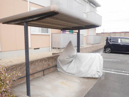 サンフローラ 0203号-15