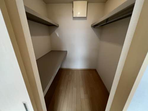 ＳｔｅｌｌａⅢ 3102号-6