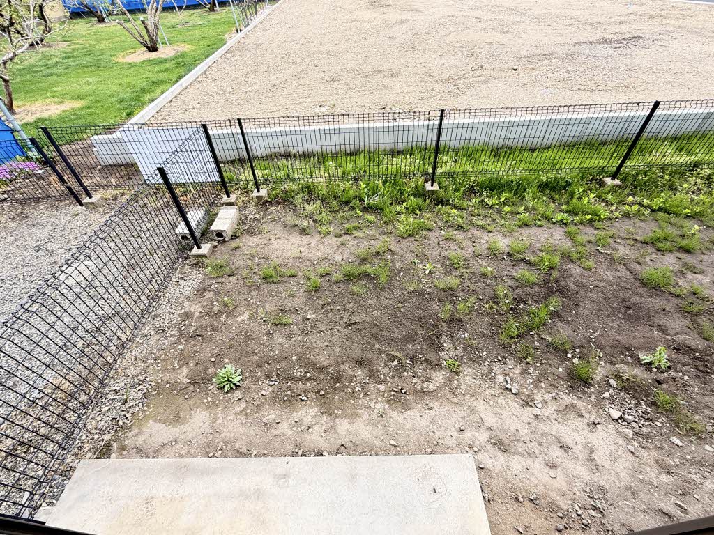 シャローム本郷 B101号-13