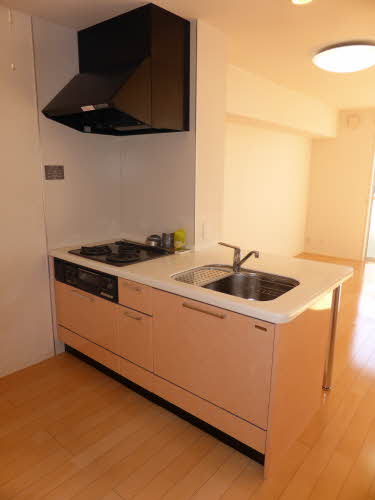 シティハウス大東 0202号-7