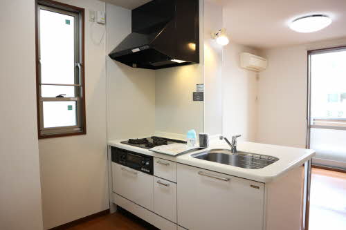 カリフォルニアハウス 0101号-6