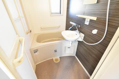 アンシャンテイチサン 0201号-8