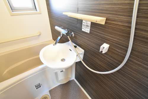 アンシャンテイチサン 0201号-10