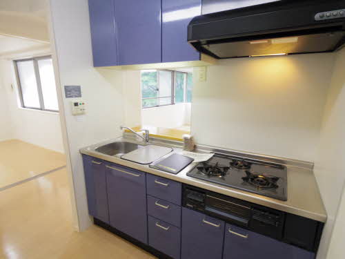 不二マンションＣ 0303号-11