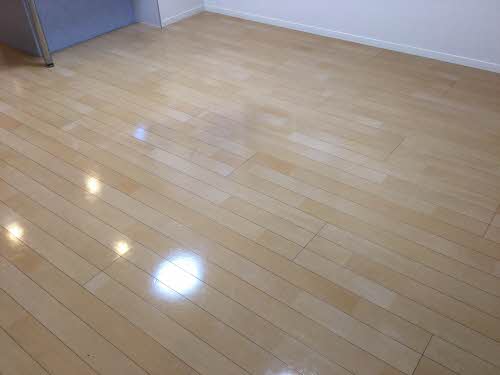 サニーコート A101号-3