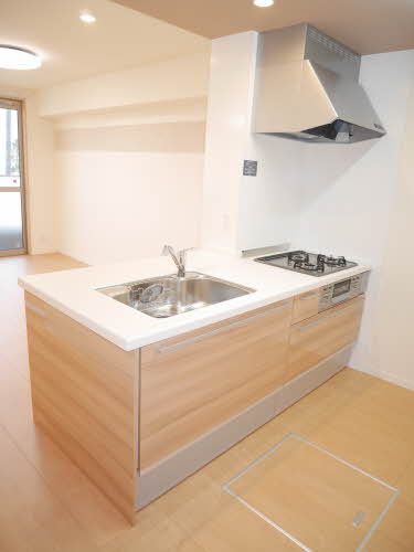 ＬＡＳＱアパートメント 0103号-3