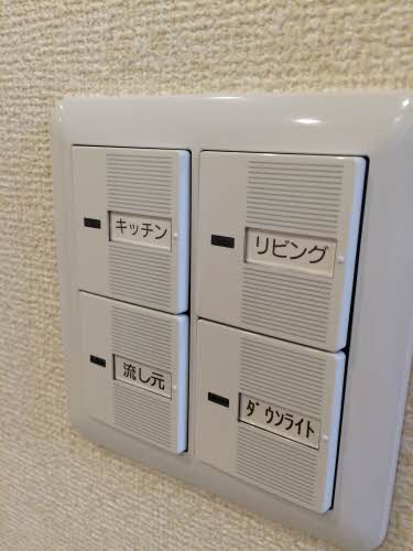 Ｍ．Ｆｌａｔ‐草薙 T202号-13