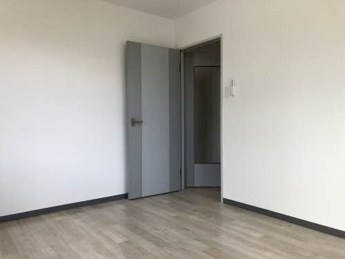 ディアスちごちご A203号-5