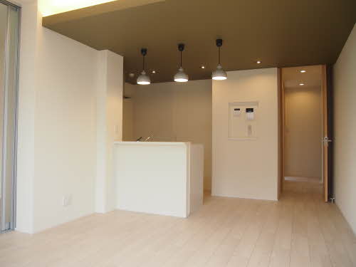 ルミナス 0101号-8