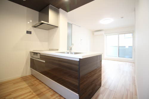 ドミールブラシェ 0301号-4