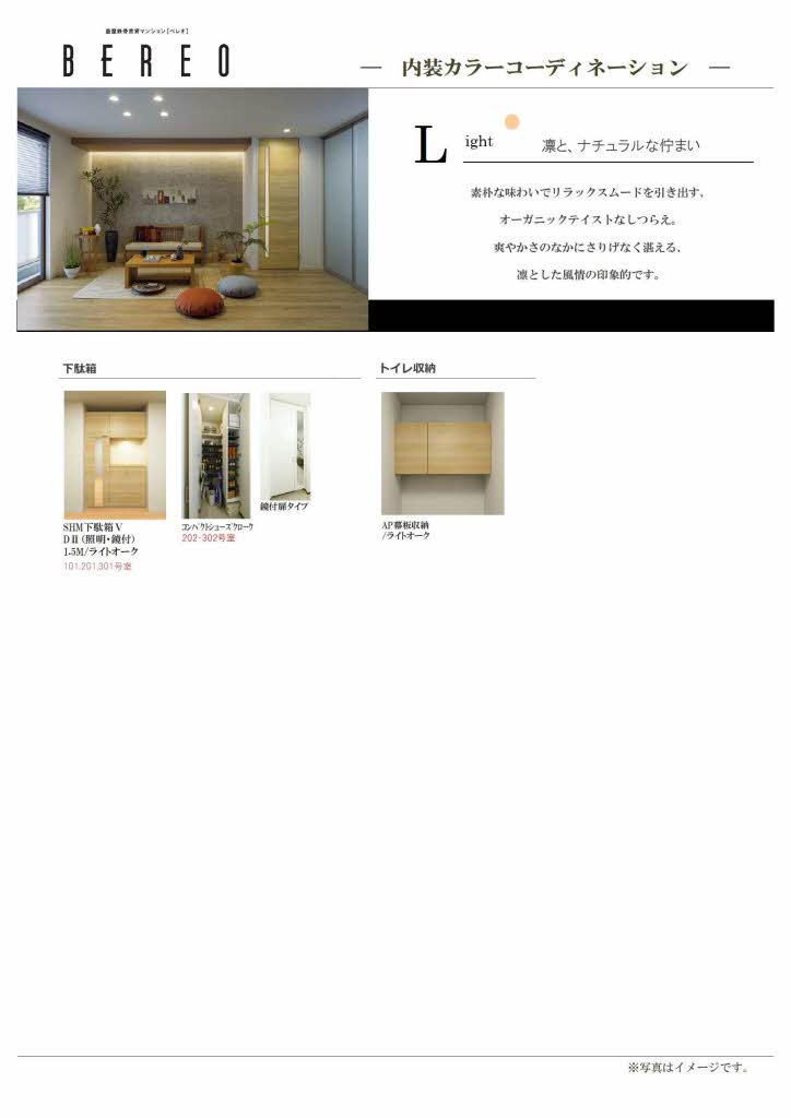 Maison Mizuki 0101号-6