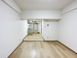 メゾン大進 0206号-3