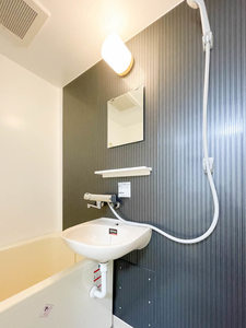 メゾン大進 0206号-6