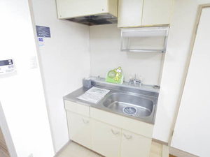 メゾン大進 0302号-5