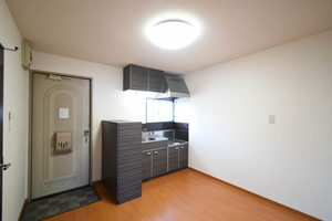 タウニー江南 A203号-8