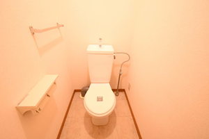 フレグランス江南 B102号-13