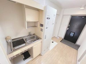 キャッスルウエスト 0502号-14