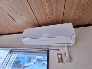 タウニー大秋 0106号-7