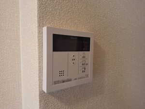 タウニー大秋 0106号-12