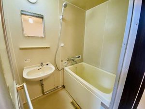 タウニー下之一色 B205号-14