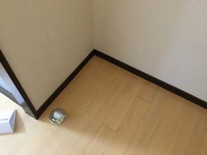 グリーンハイツ前後 0202号-8