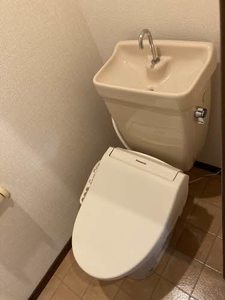 タウニー梨ノ木 0103号-10