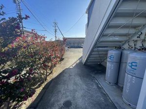 フォーブルミノワ 0212号-11