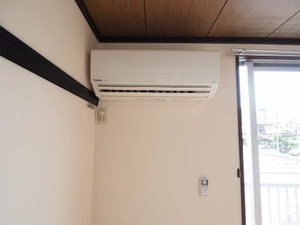 アネックス大根 0202号-11