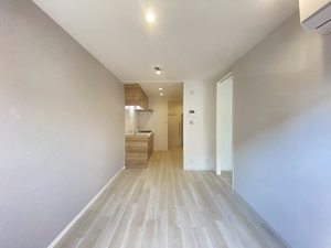 タウニーチチブ 0105号-2