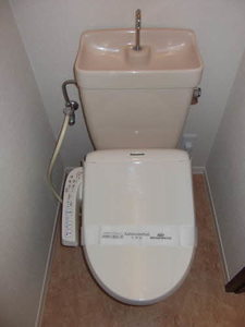 タウニーチチブ 0205号-2