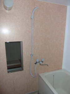 タウニーチチブ 0205号-11