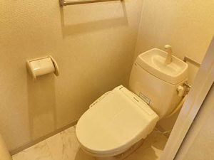 Dias METOBA 0102号-6