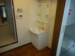 ディアス竹渕 B101号-9