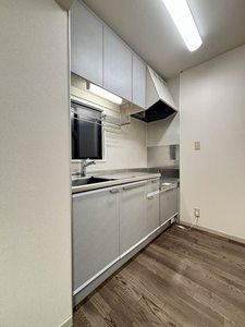 フォンティーヌ・サワⅢ C101号-4