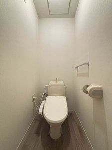 フォンティーヌ・サワⅢ C101号-10