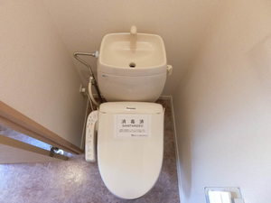 ＡＸＩＳＨＩＲＡＴＡ B205号-12