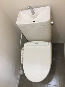 コーポマリーユ 0203号-6