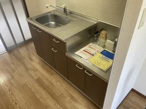 メゾンＨＩＲＯ 0202号-2