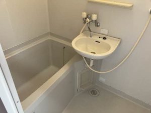 メゾンＨＩＲＯ 0202号-8