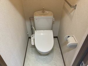 メゾンＨＩＲＯ 0202号-9