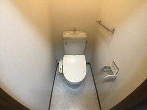 メゾンＨＩＲＯ 0205号-8