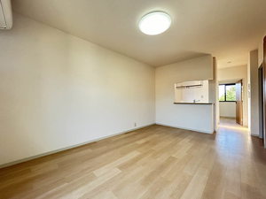 シンフォニアＩ 0205号-13