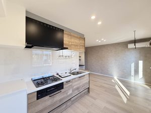 ヴィラ島立 0102号-12