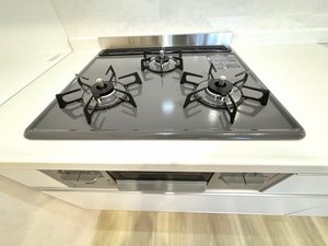 ヴィラ島立 0203号-14